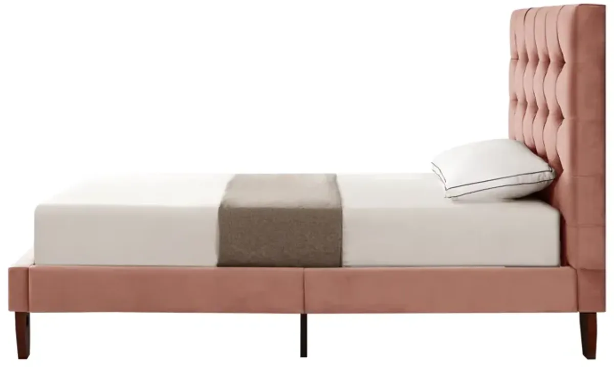 Inspired Home Sabina Platform Bed