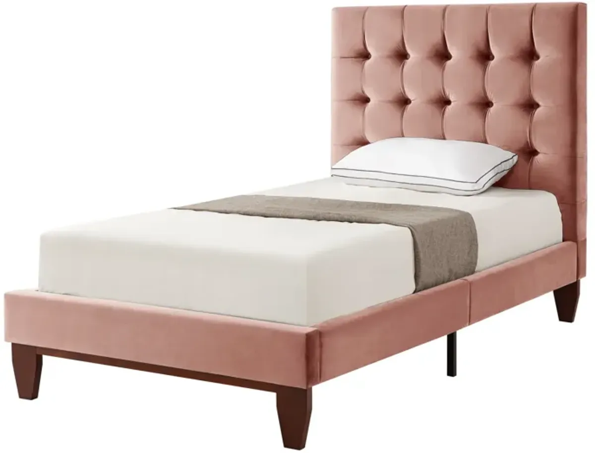 Inspired Home Sabina Platform Bed