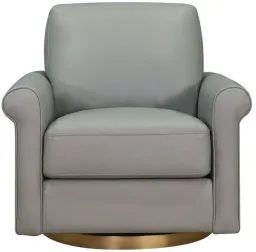 Silver Gray color