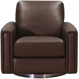 Chestnut Brown color