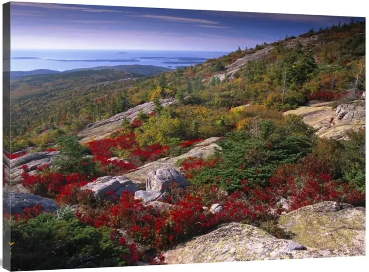 Atlantic coast from Cadillac Mountain, Acadia National Park, Maine-Canvas Art-40x30