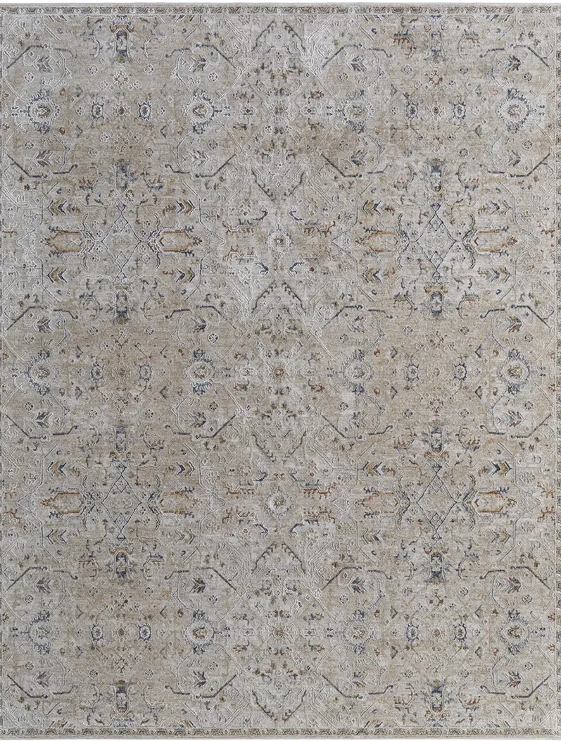 Pasha 39M6F 6'7" x 9'6" Taupe/Ivory/Blue Rug