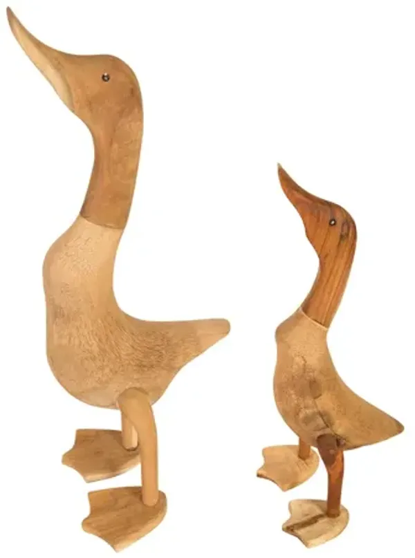 Wood Duck Set of 2