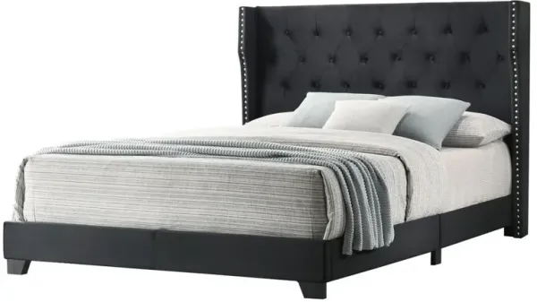 Best Quality Furniture Black Velvet Uph. Panel Bed Tufted Buttons Side Studs, Full