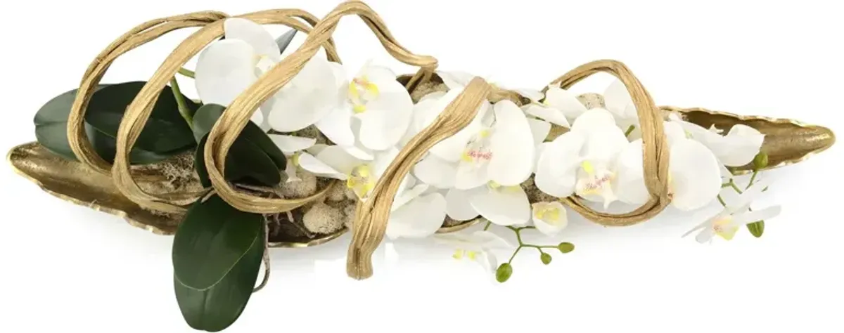 Curling Orchids