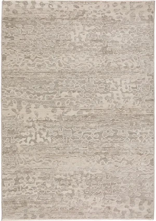 Denizi DZ6 Silver 9' x 13'2" Rug