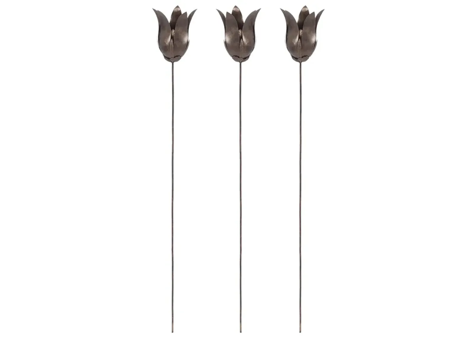 Bronze Tulip Stem