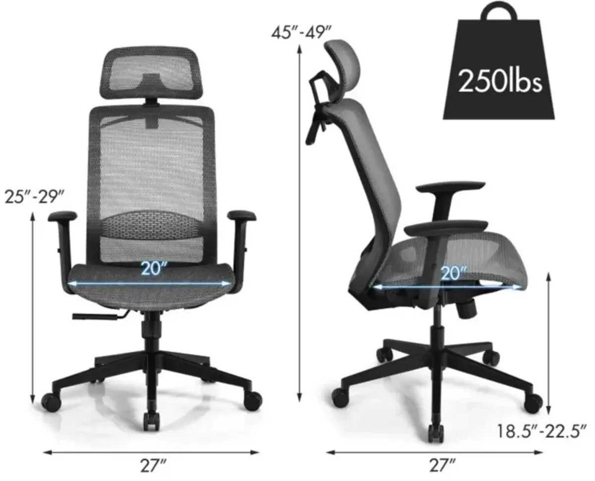 Hivvago Height Adjustable Ergonomic High Back Mesh Office Chair with Hange