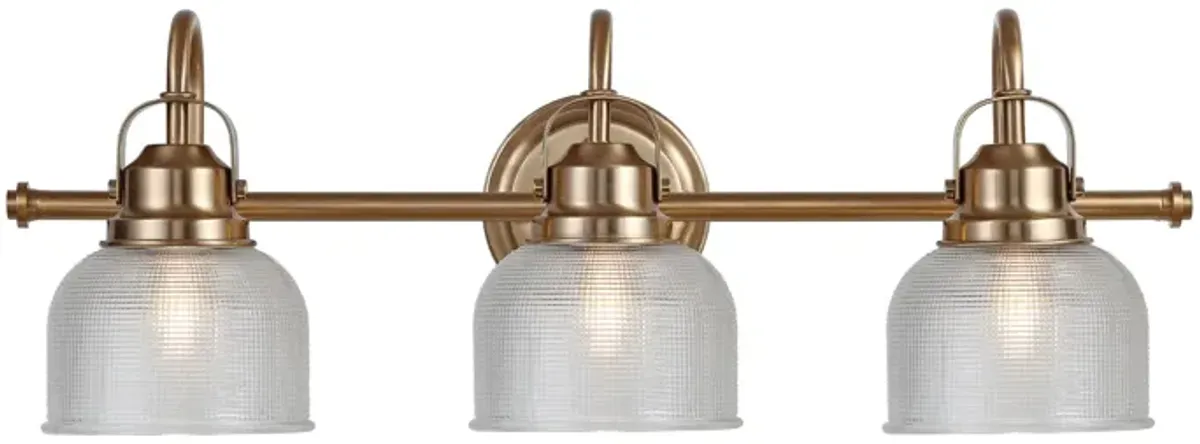 Virginia Metal/Glass LED Vanity Light