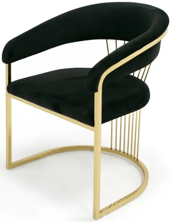 Moha 24 Inch Dining Chair, Round Cantilever Base, Black Velvet, Gold Finish - Benzara