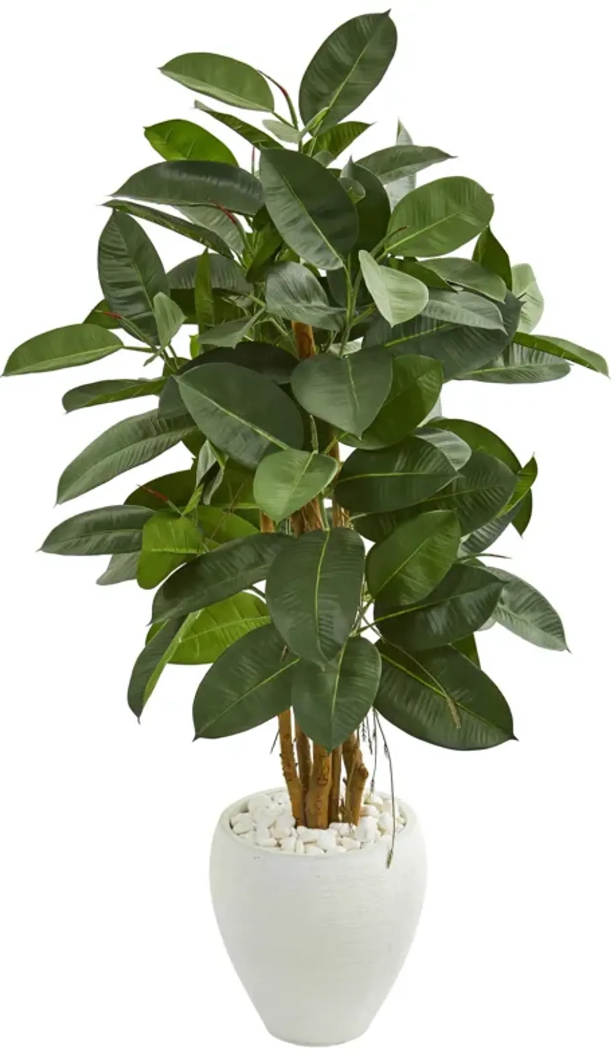 HomPlanti 53 Inches Artificial Rubber Tree in White Planter