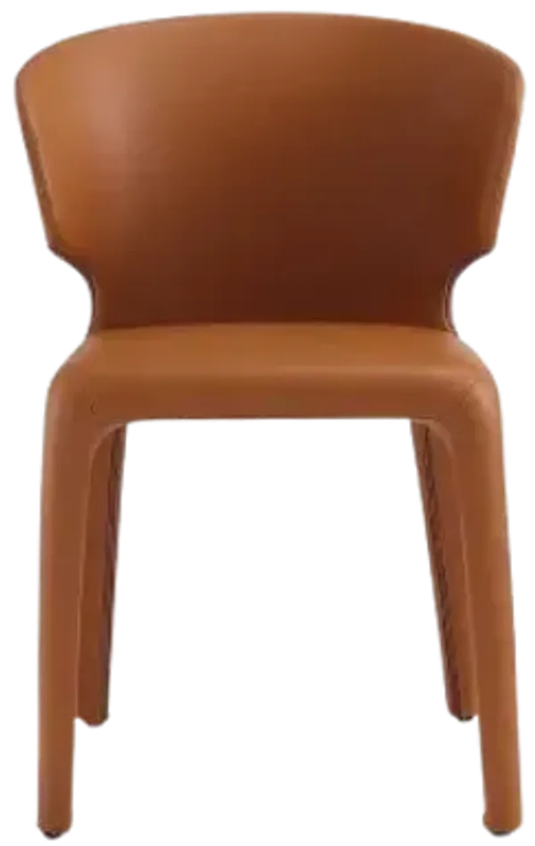 Conrad Brown Dining Chairs (Set of 2)