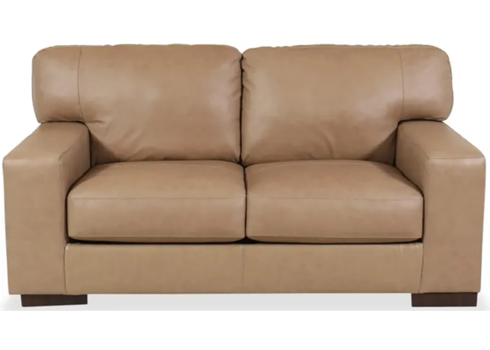 Lombardia Leather Loveseat