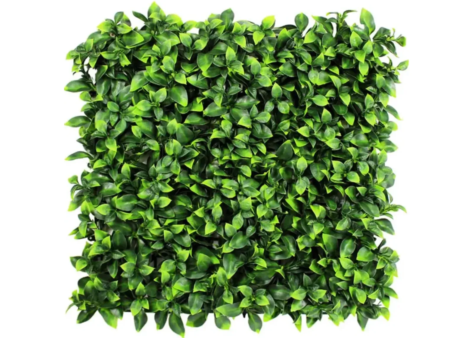 Jasmine Artificial Green Wall 40" x 40" 11SQFT Commercial Grade UV Resistant