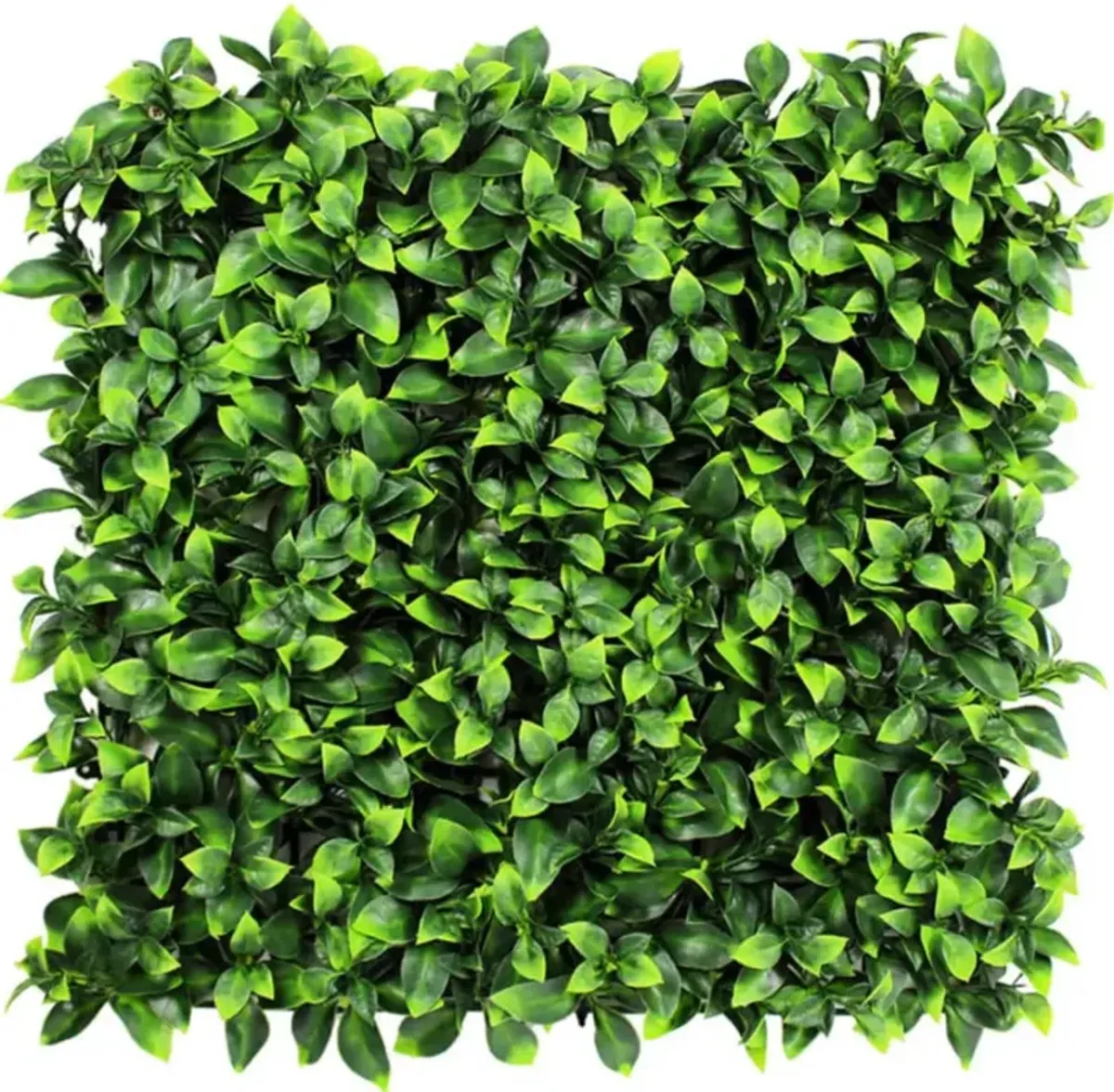 Jasmine Artificial Green Wall 40" x 40" 11SQFT Commercial Grade UV Resistant