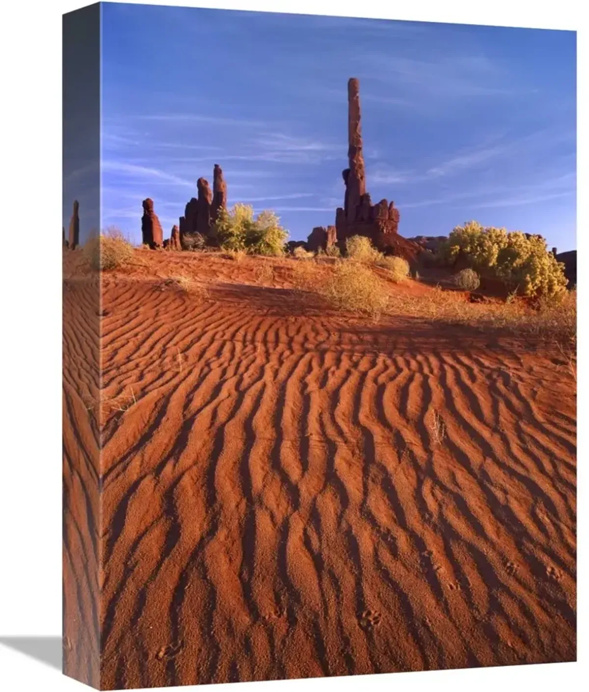 Totem pole and Yei Bi Chei with sand dunes, Monument Valley,  Arizona-Canvas Art-12x16