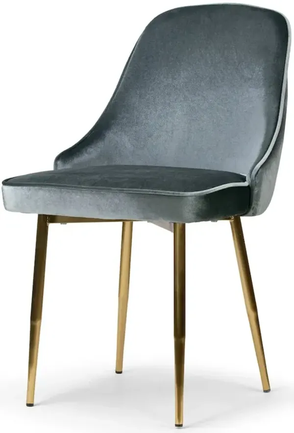 Glamour Home Set of 2 Alpha Blue-gray Velvet Chair with Brushed Golden Steel Legs