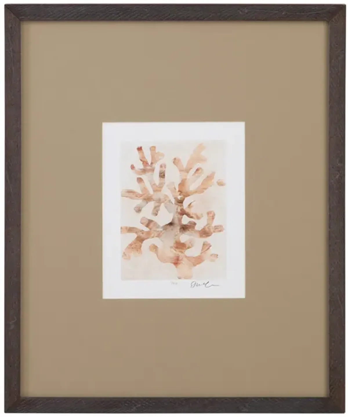 Parchment Coral I Framed Print