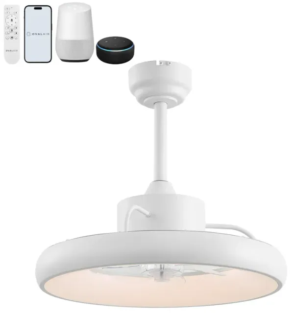 Loren Modern Contemporary 6-Speed Metal Mobile-App/Remote-Controlled Dimmable Smart Integrated LED Ceiling Fan