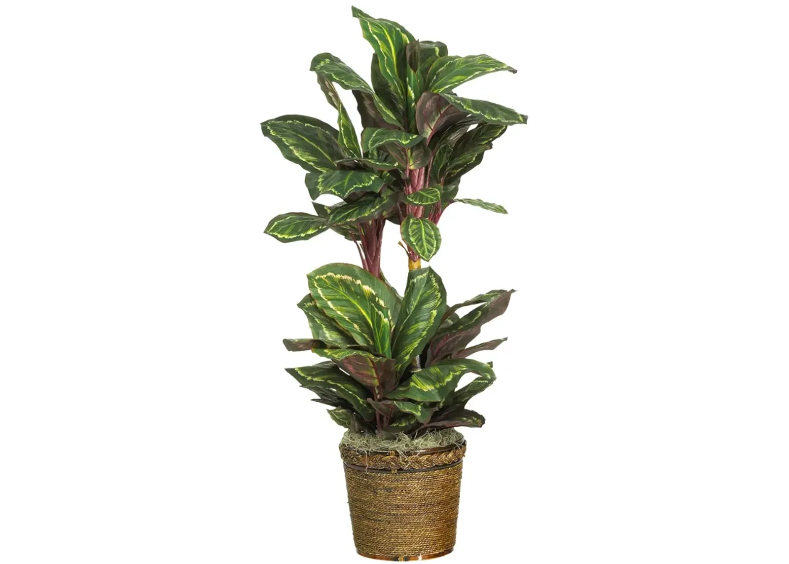 HomPlanti 45" Maranta Silk Plant