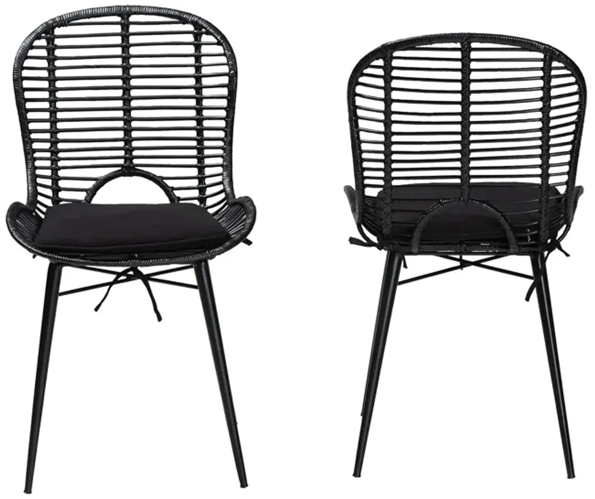 Bali & Pari Brenna Modern Bohemian Black Finished Rattan and Metal 2-Piece Dining Chair Set