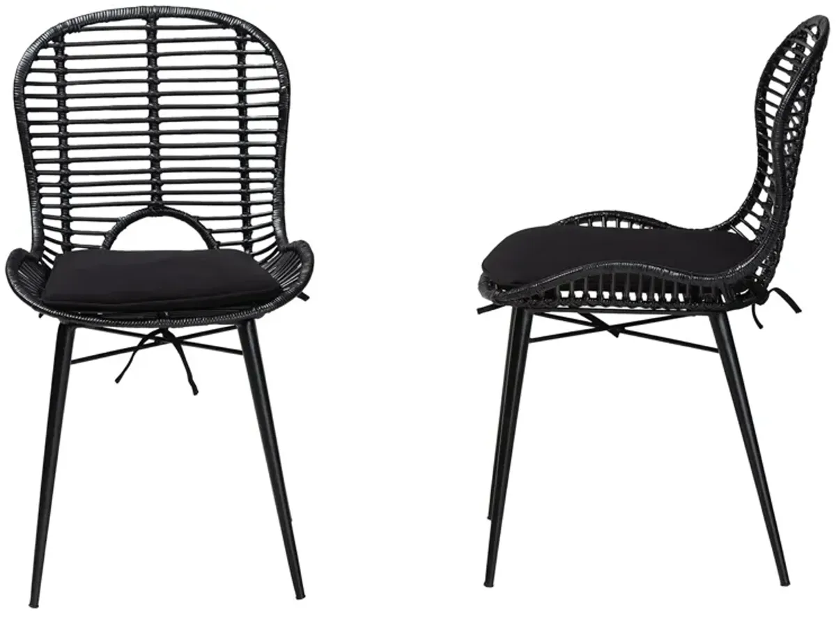 Bali & Pari Brenna Modern Bohemian Black Finished Rattan and Metal 2-Piece Dining Chair Set