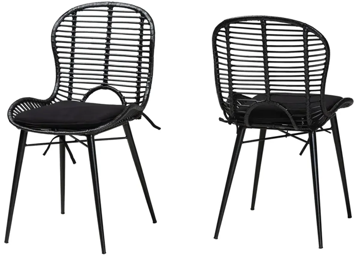 Bali & Pari Brenna Modern Bohemian Black Finished Rattan and Metal 2-Piece Dining Chair Set