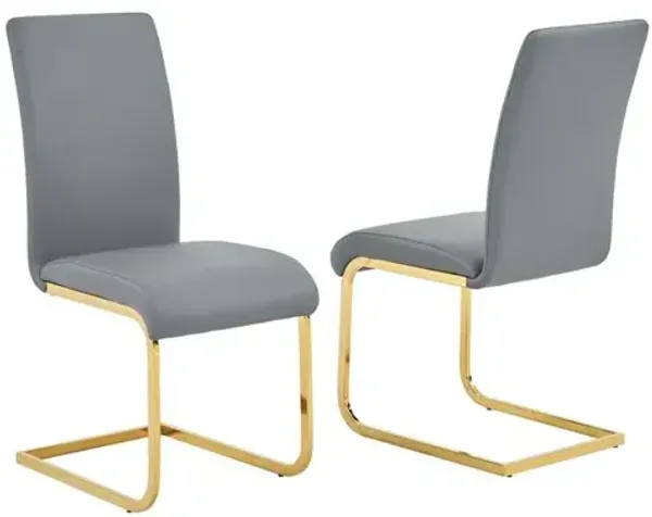 Alison Faux Leather Chrome Dining Side Chair in Gray/Gold (Set of 2)