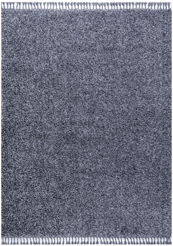 Mercer Shag Plush Tassel Area Rug