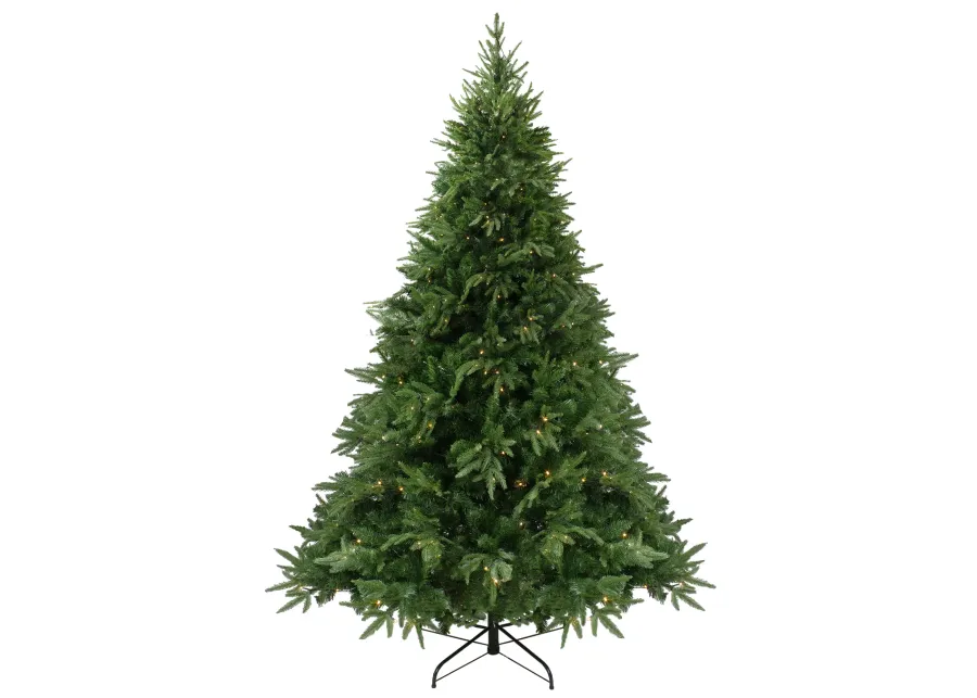 6.5' Pre-Lit Full Silverthorne Fir Artificial Christmas Tree - Warm White LED Lights