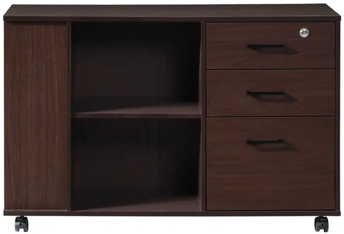 File Cabinet with 1 Locker