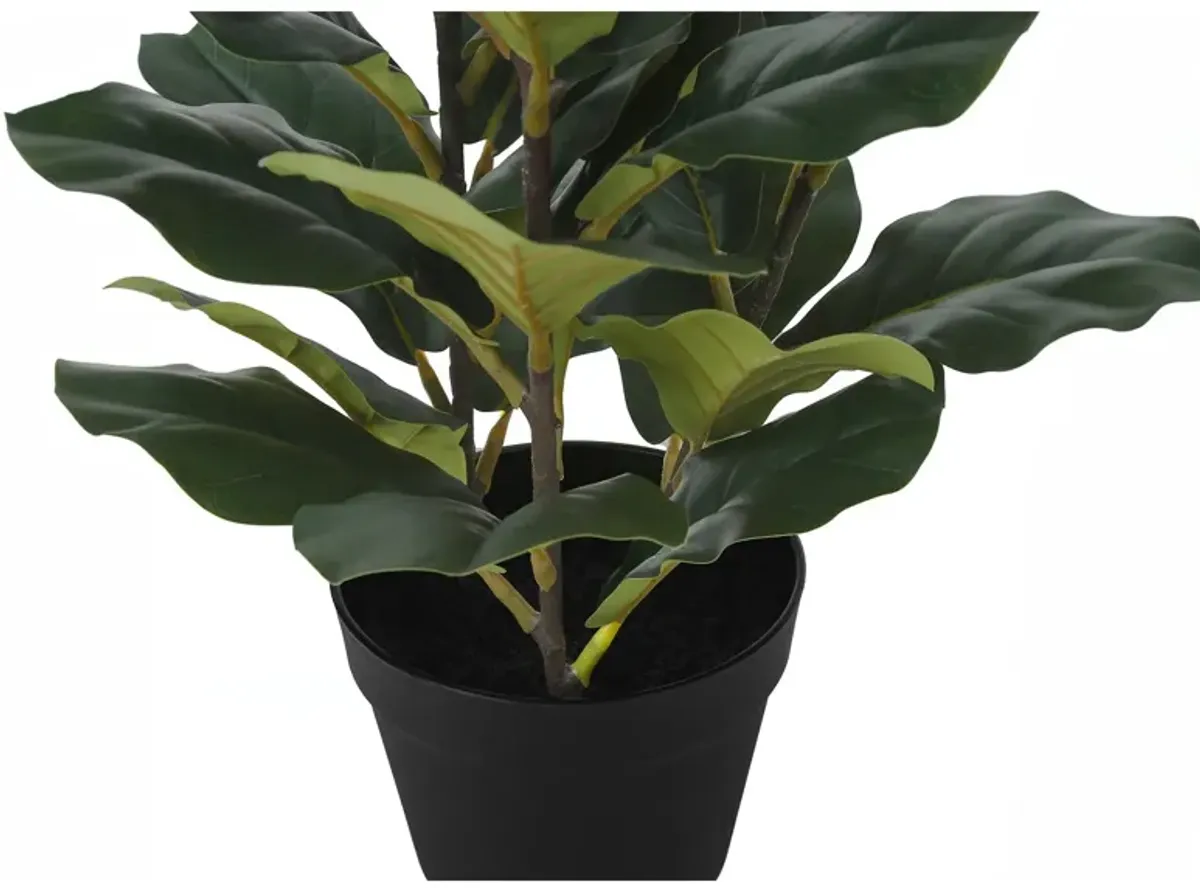 Monarch Specialties I 9511 - Artificial Plant, 32" Tall, Fiddle Tree, Indoor, Faux, Fake, Floor, Greenery, Potted, Real Touch, Decorative, Green Leaves, Black Pot
