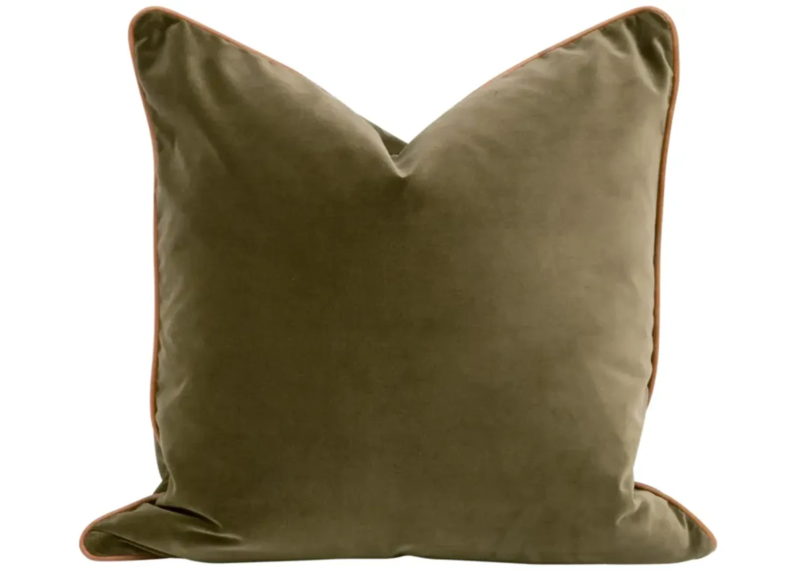 The Not So Basic 22" Essential Pillow (Set of 2)