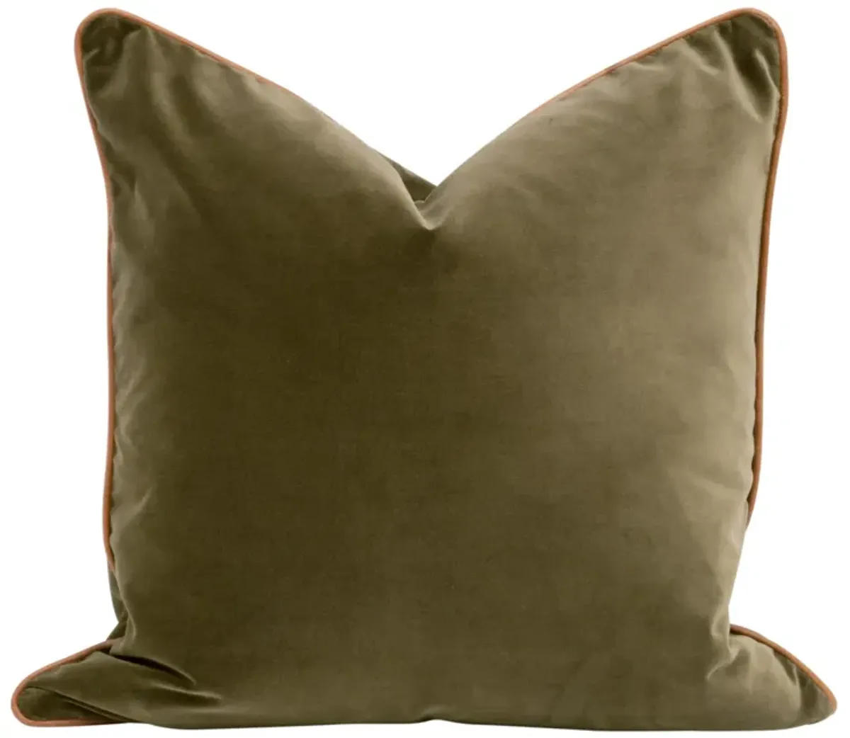 The Not So Basic 22" Essential Pillow (Set of 2)