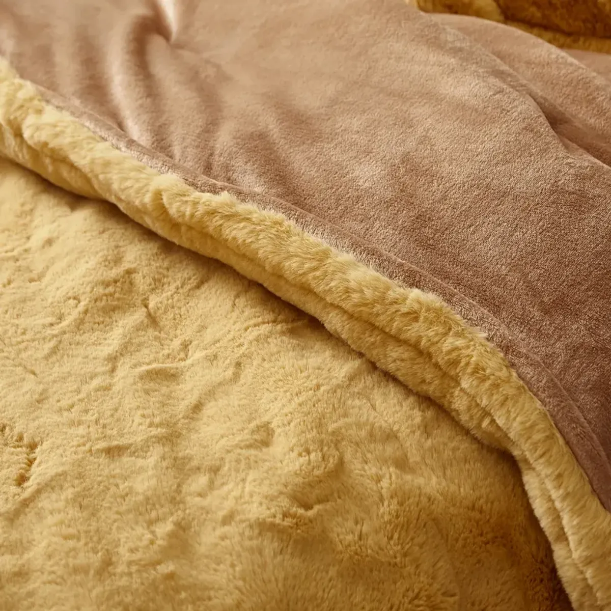 Chunky Bunny - Coma Inducer® Oversized Comforter Set - Lionhead: Sahara Sun