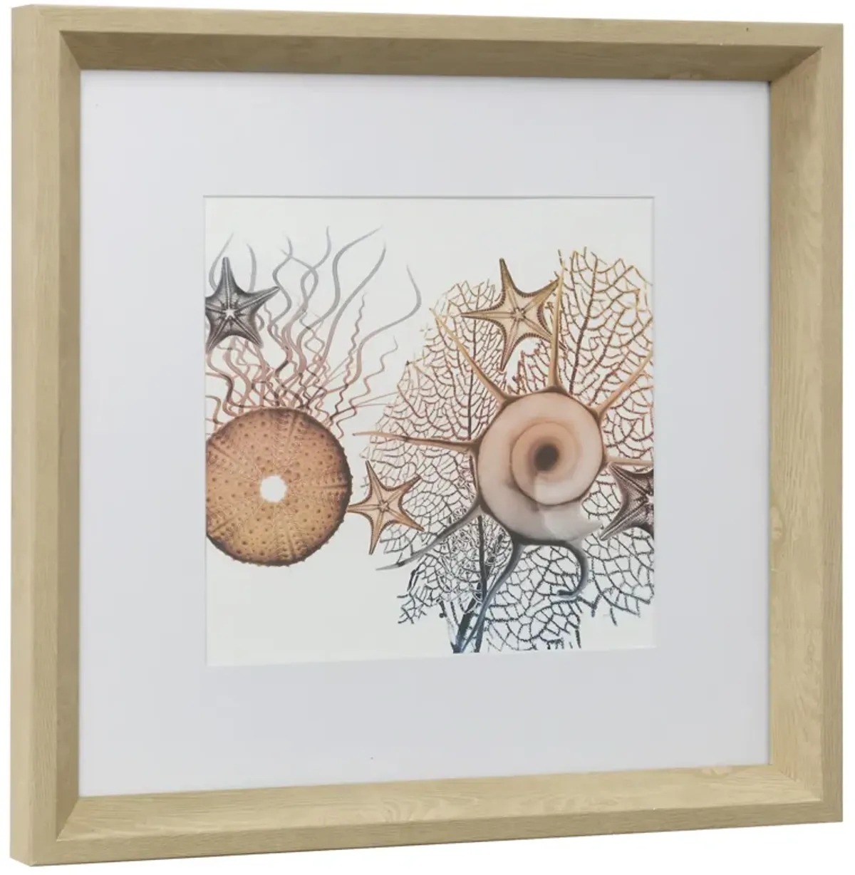 Seaside Savings I Framed Print