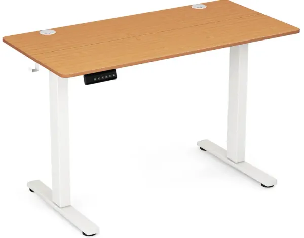 Adjustable Electric Standing Desk with 3 Memory Height Settings, Cable Management, and Hooks