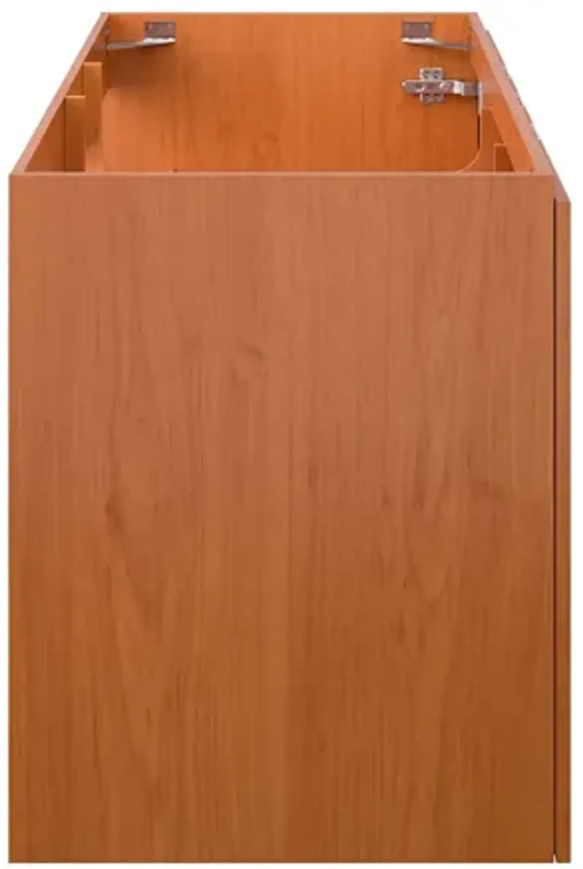 Scenic 48" Single Wall-Mount Bathroom Vanity Cabinet