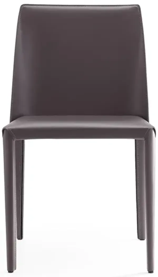 Paris Gray Dining Chairs (Set of 2)