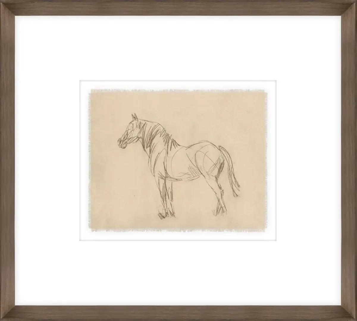 Equine Impression IV