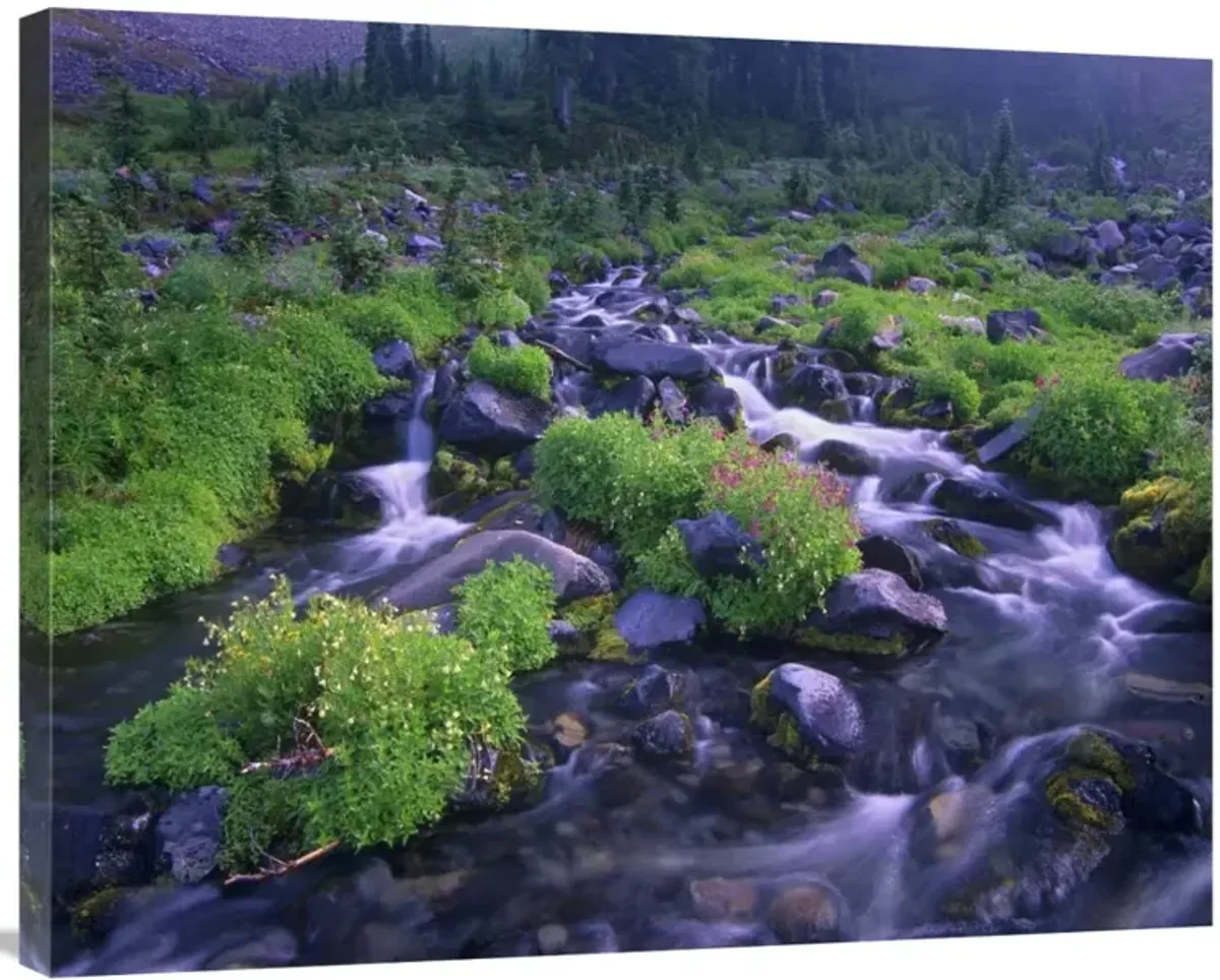 Paradise River with wildflowers, Mount Rainier National Park, Washington-Canvas Art-35x28