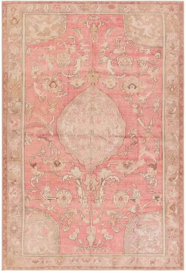 Garcia Cheney Pink 5' x 8' Rug