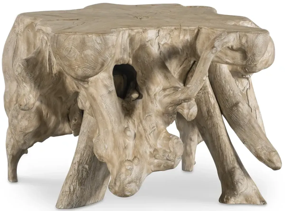 Hunter Teak Root Accent Table