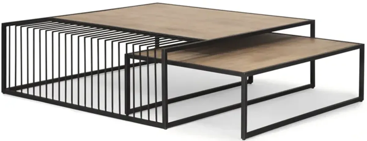 Miles Coffee Table (Set of 2)