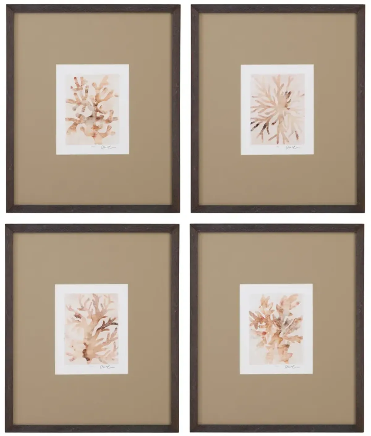 Parchment Coral III Framed Print