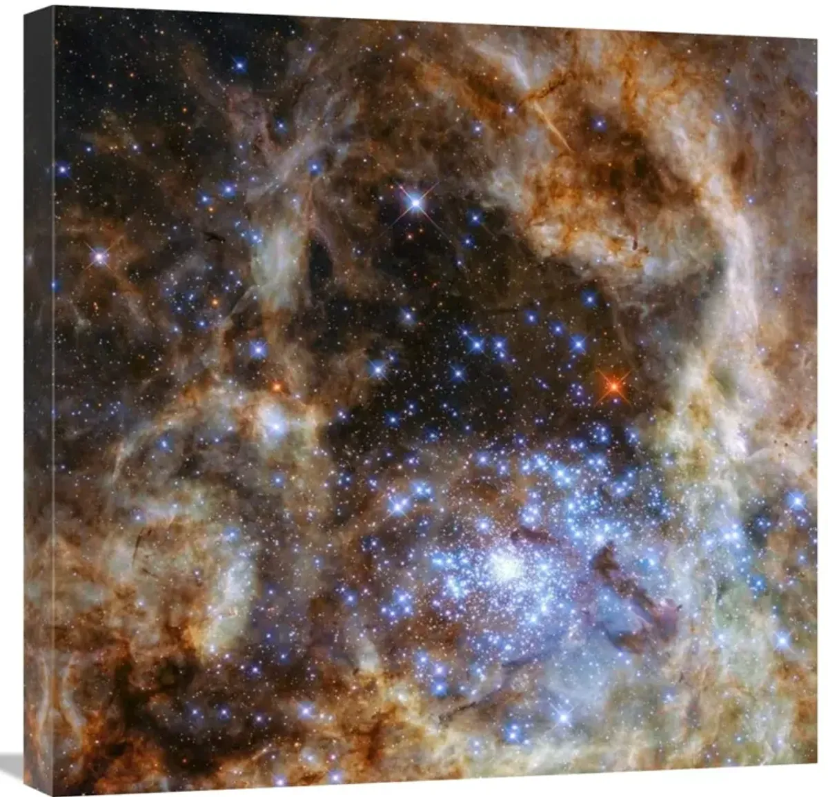 Star Cluster R136-Canvas Art-24x24