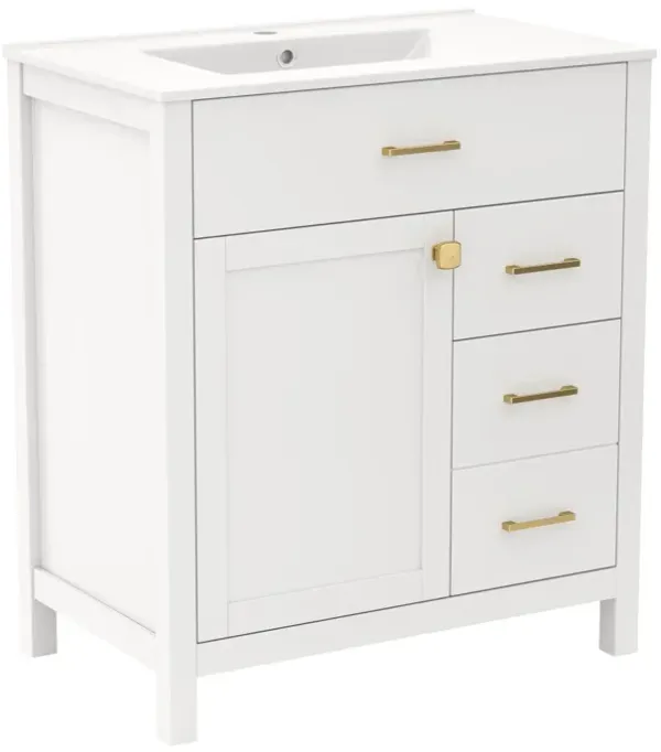 Single Bathroom Vanity with 2 Drawers and 1 Door