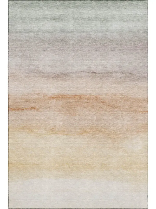 Pacifica PA8 Coral 30" x 46" Rug
