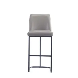 Dark Gray color