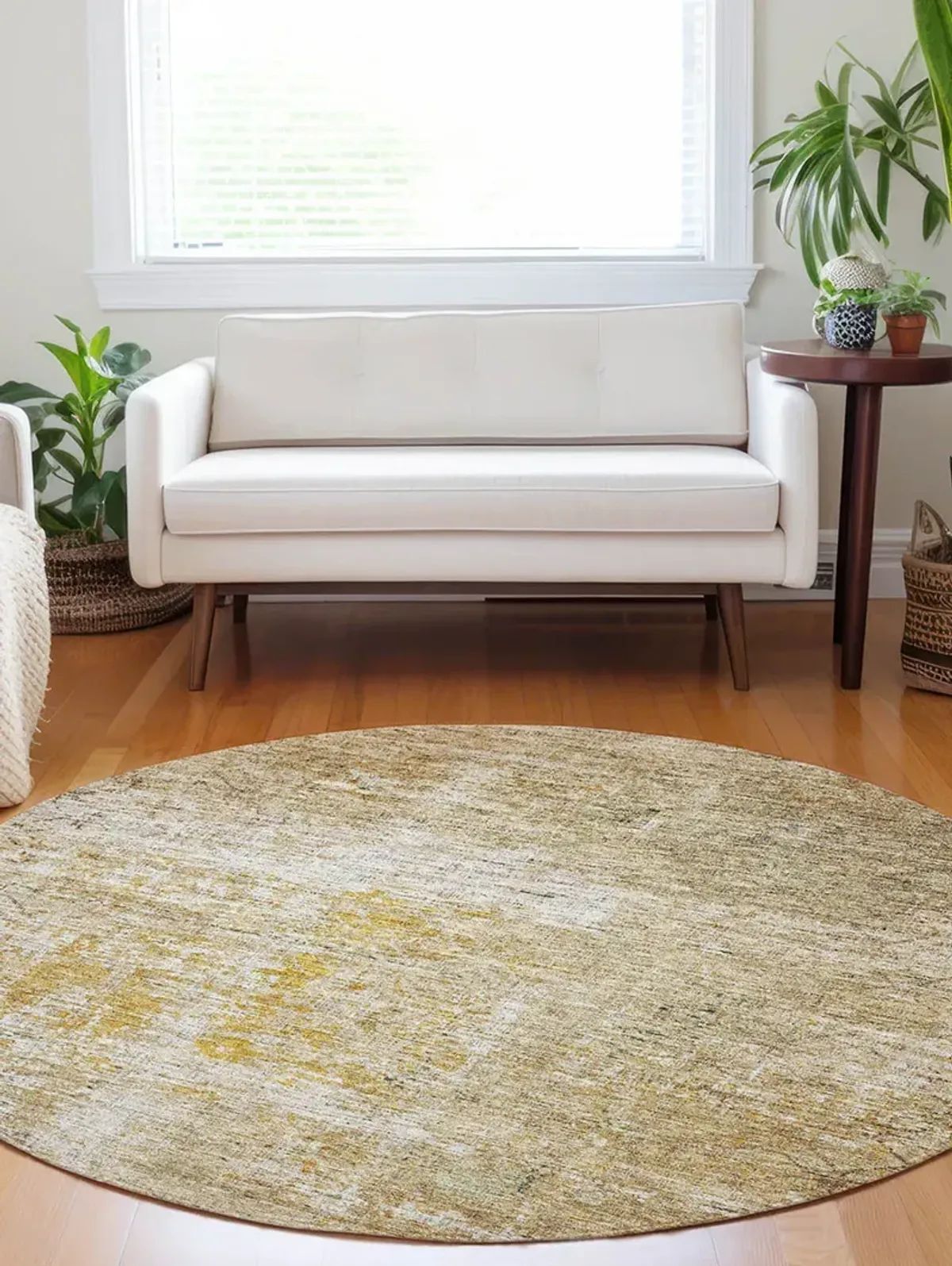 Burano BU7 Gold 8' Rug